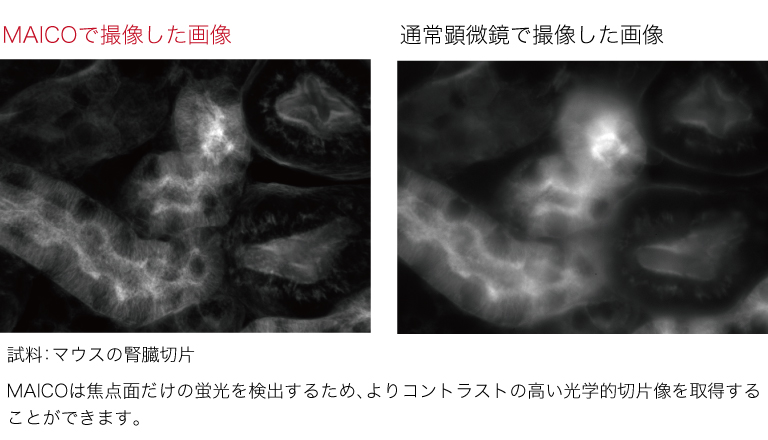 MEMSミラーの動きと励起光スポット移動の概念図