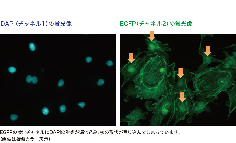 MEMS共焦点ユニット 技術紹介