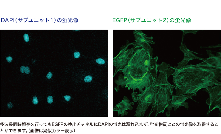 MEMS共焦点ユニット 技術紹介