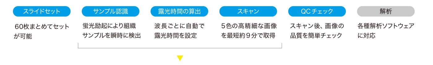 各測定フローの特長
