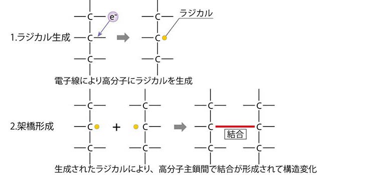 架橋_電子線照射比較