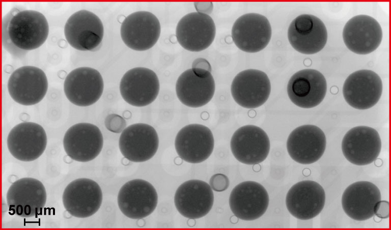 運転支援システム カメラユニット　拡大　撮像事例