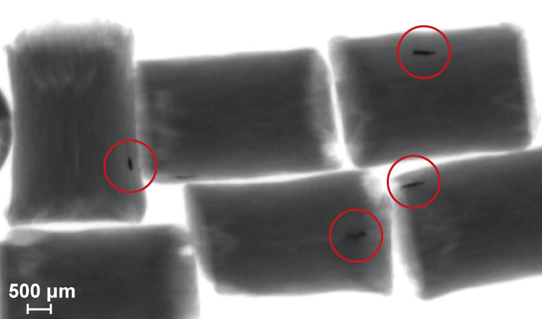 樹脂ペレット材料　撮像事例