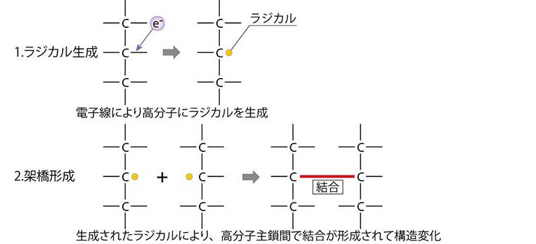 架橋_電子線照射比較