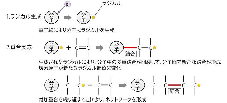 キュアリング