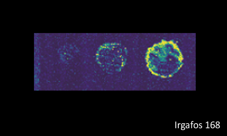 表面汚れのイメージング Poropareの活用のご案内
