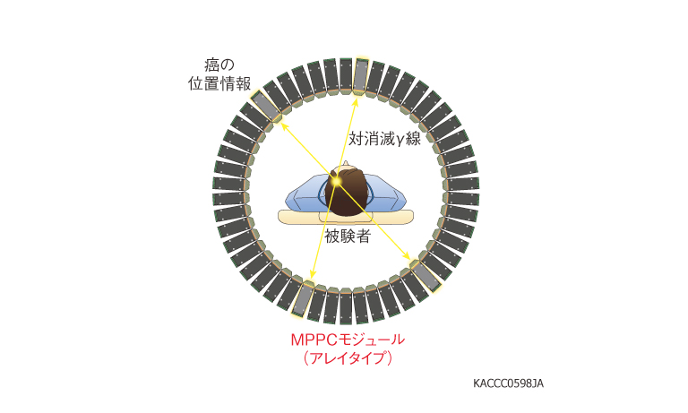 PET (Positron Emission Tomography)