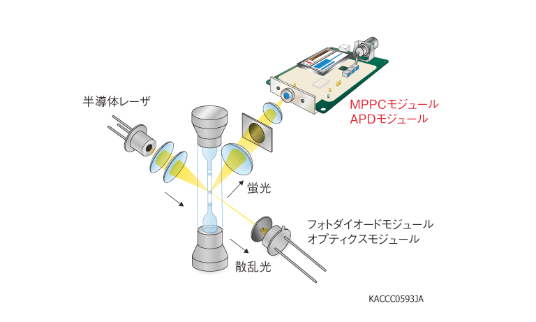 フローサイトメトリ
