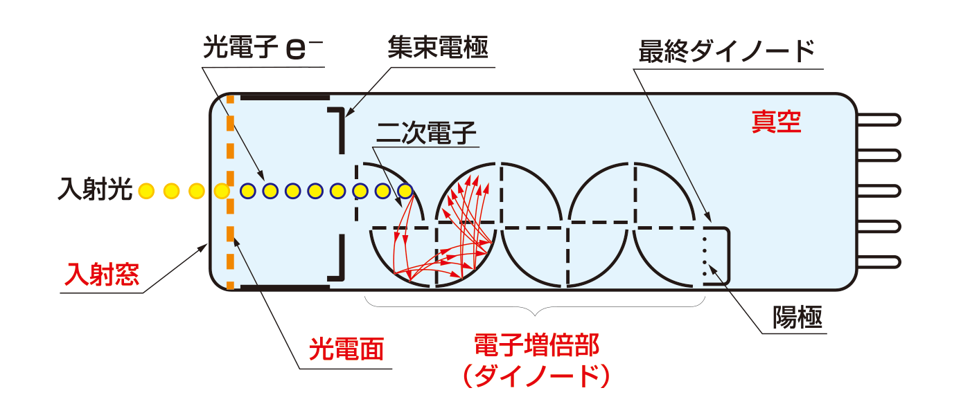 光電子増倍管とは