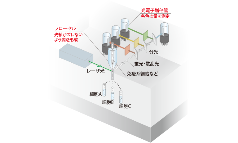 フローサイトメータ