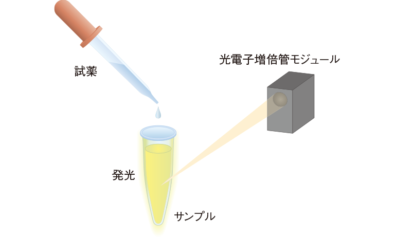 血液検査