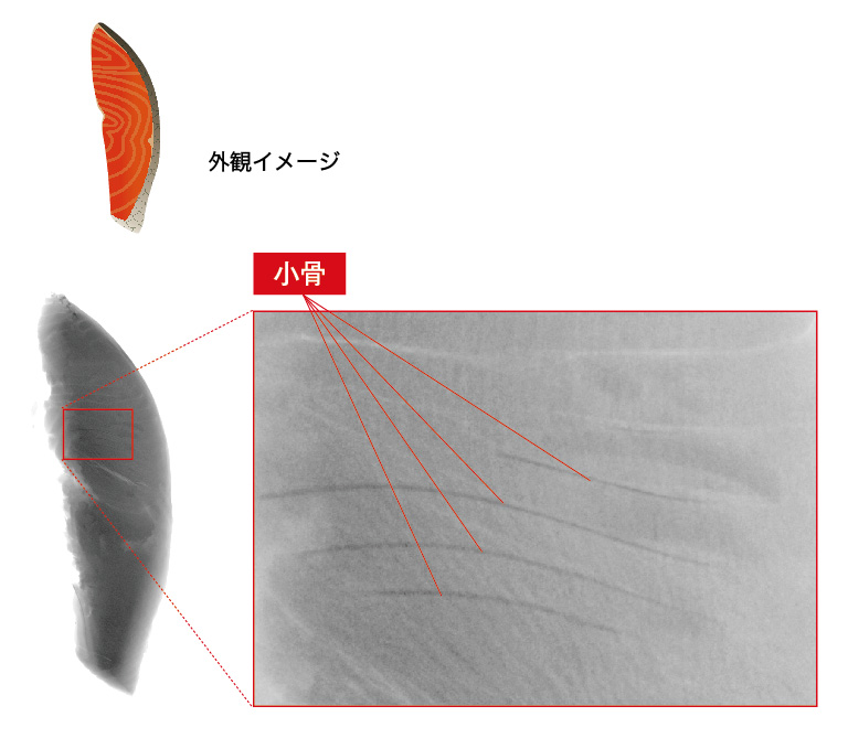 X線TDIカメラ 撮像例