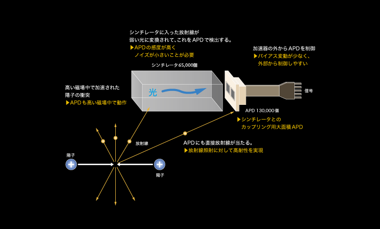 カロリメータ用APDの概念図
