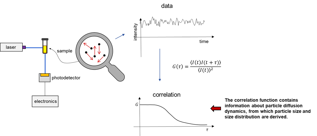 Basic configuration of DLS