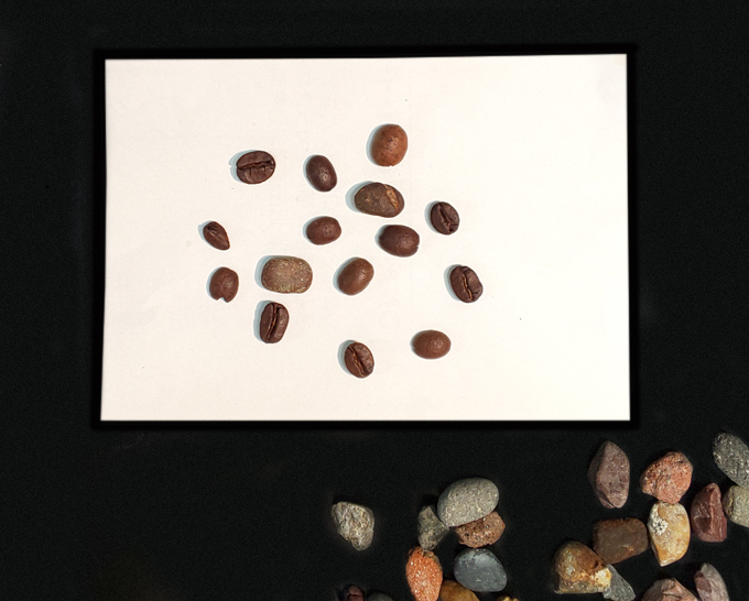 Visible Coffee Beans and Rocks - Difficult to detect difference.