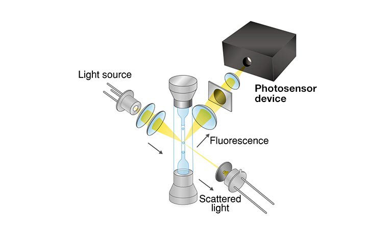 Flow cytometry illustration