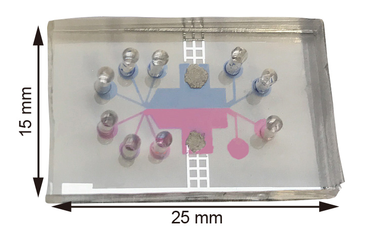 Development of biological sensor device with microfluidic MEMS device