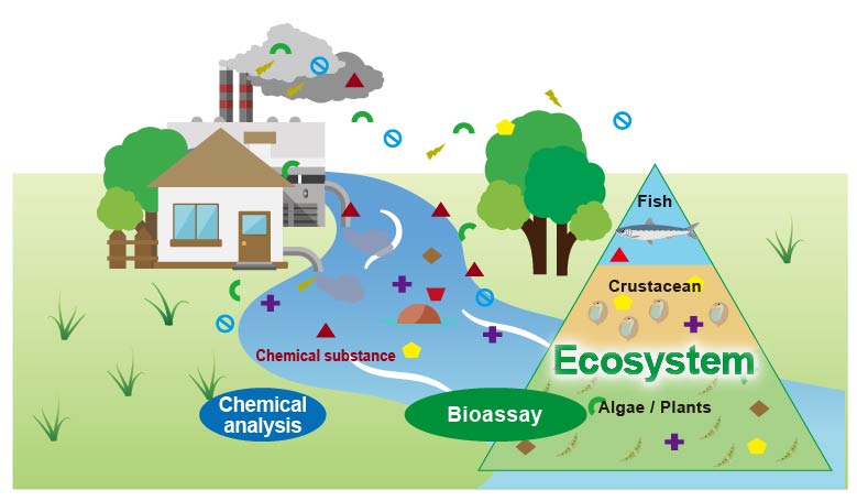 Photosynthesis evaluation technology by photon detection