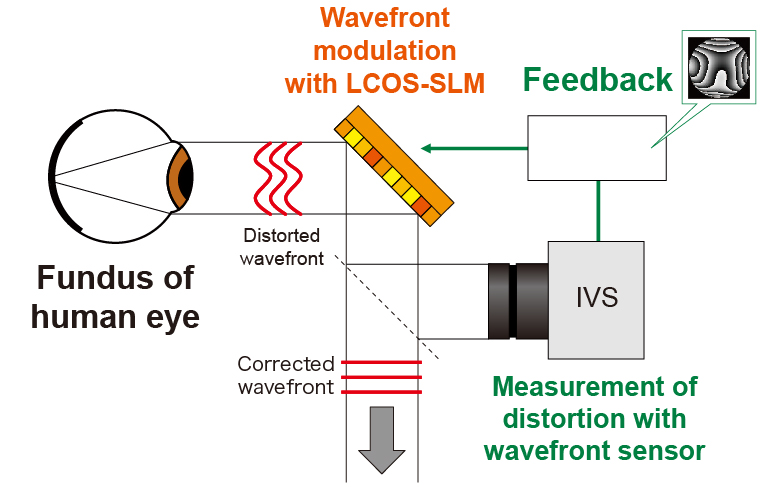 Principle of wavefront correction with adaptive optics