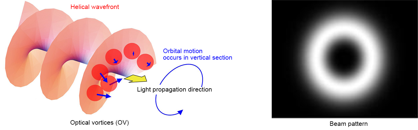 Generation and optical manipulation of higher-order mode light