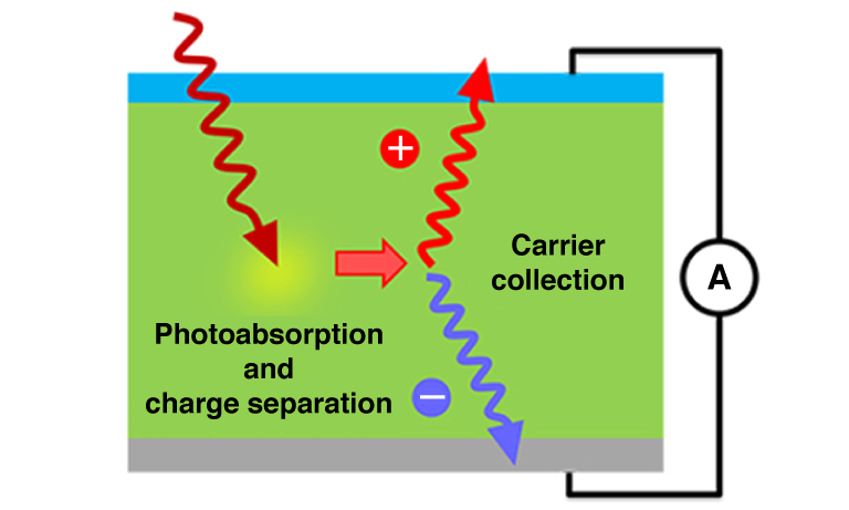 Fig. 2 Working mechanism of OPD and OLED