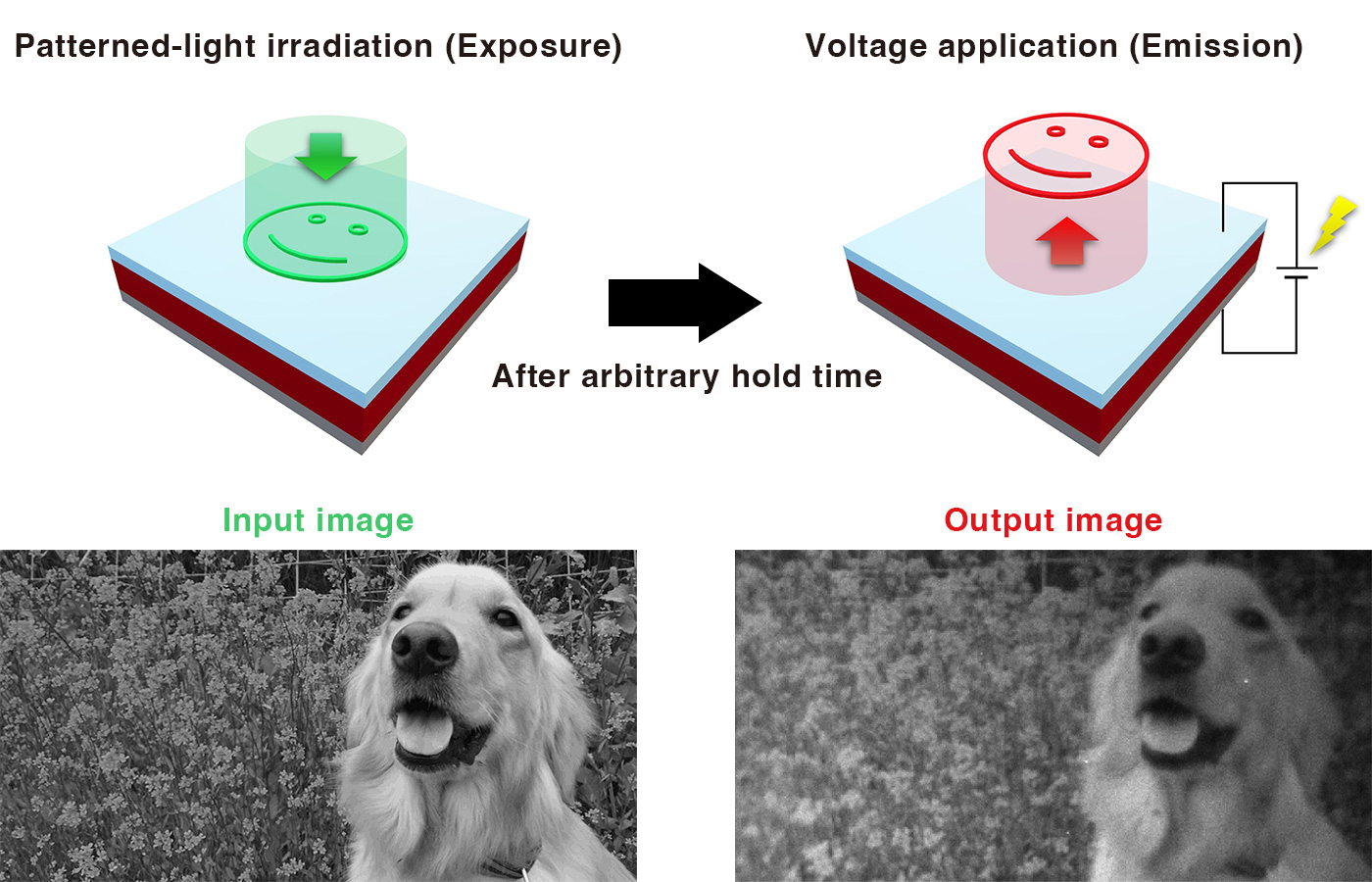 Figure 7. Demonstration of charge storage device