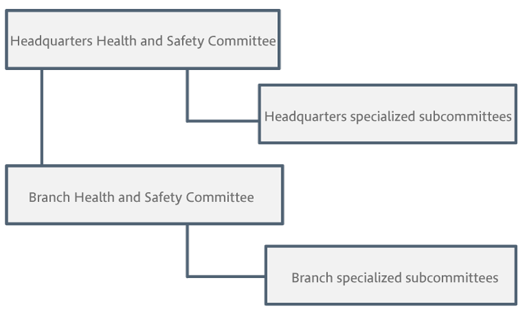 Organizational chart of the Health and Safety Committees