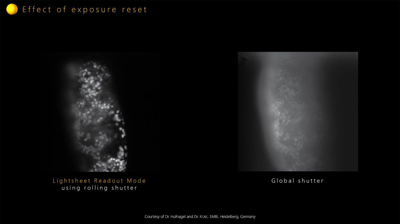 Effect of exposure reset