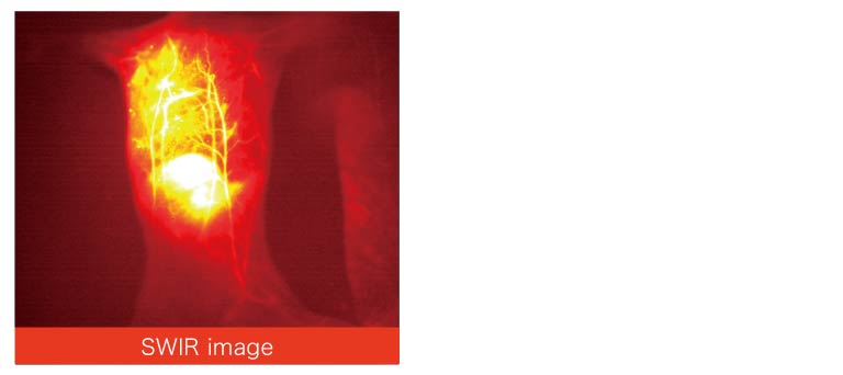 Small animal imaging