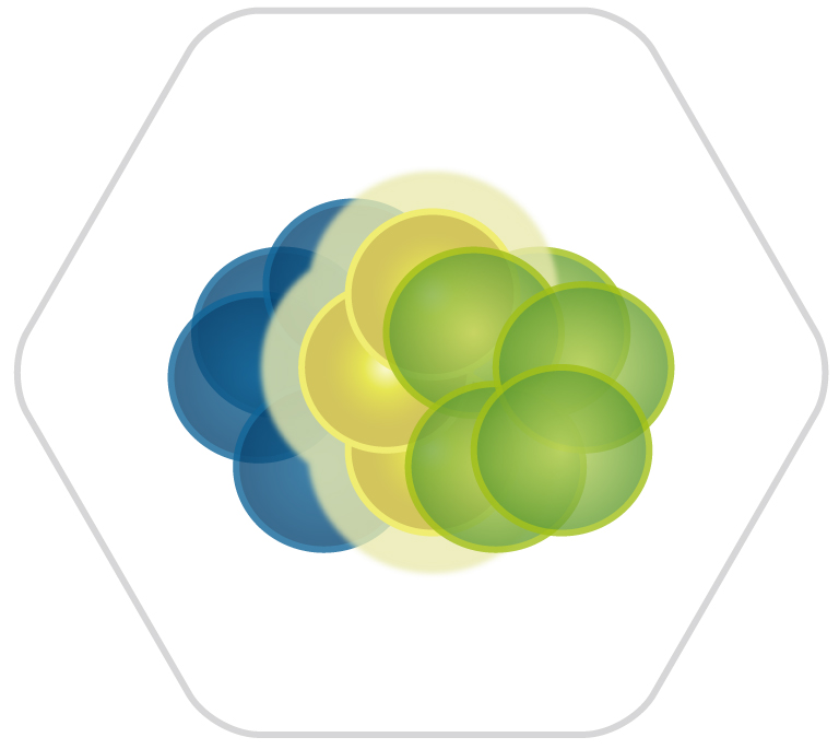 fdssucell application