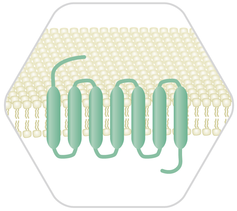 fdssucell application
