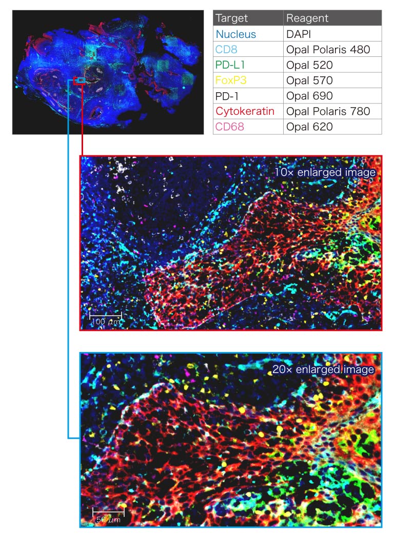 Imaging example