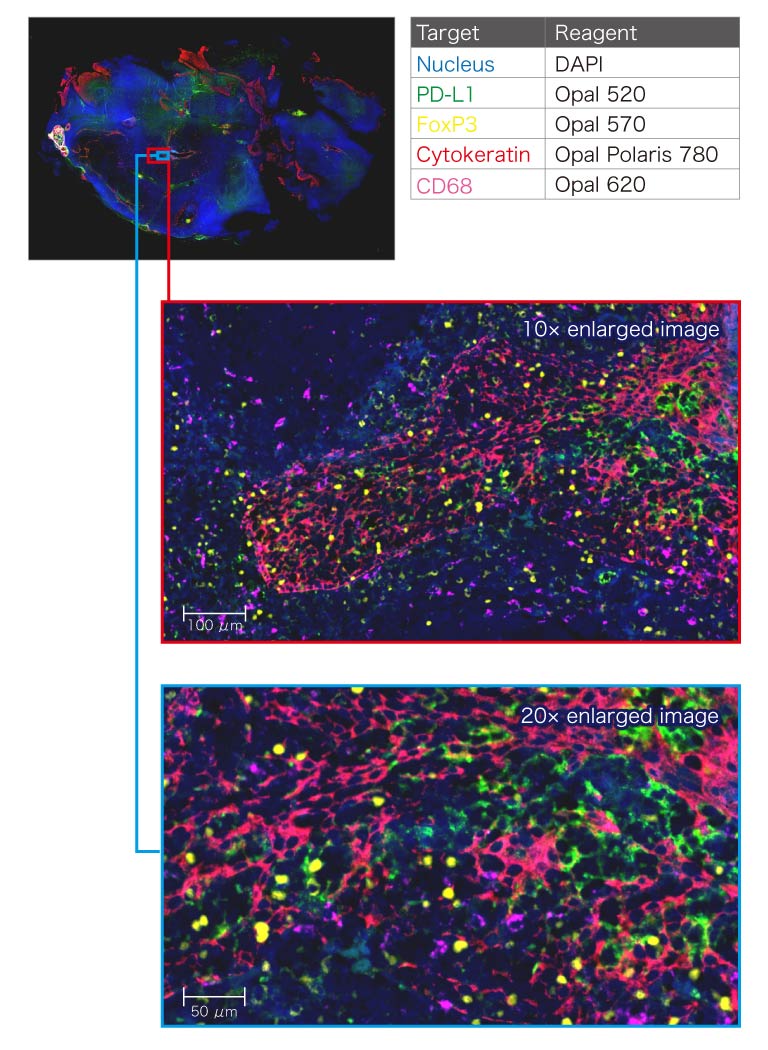 Imaging example