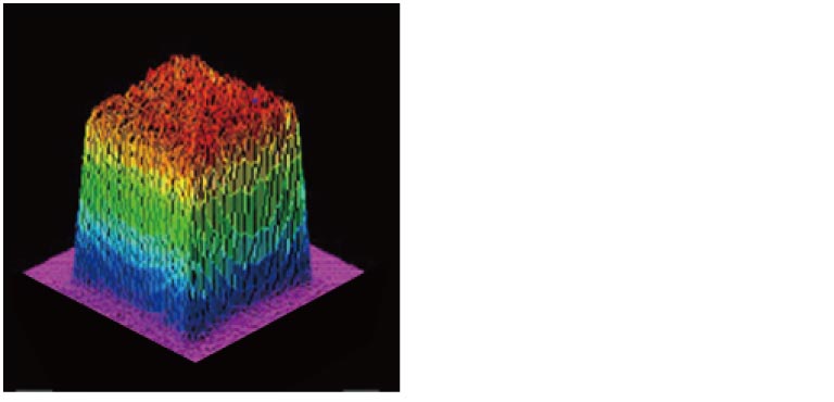 3D profile（example）