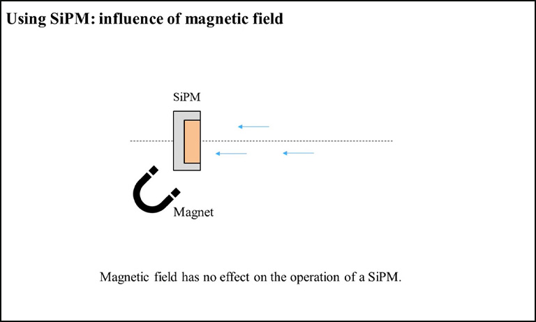 Using SiPM: influence of magnetic field