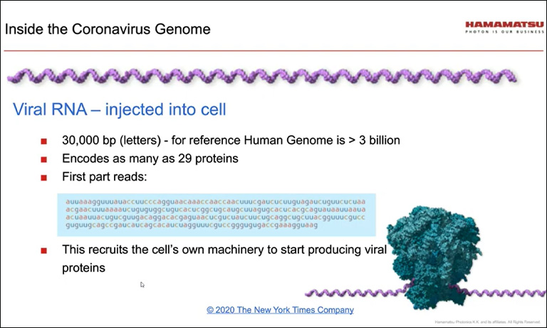 Webinar - Inside the Coronavirus Genome