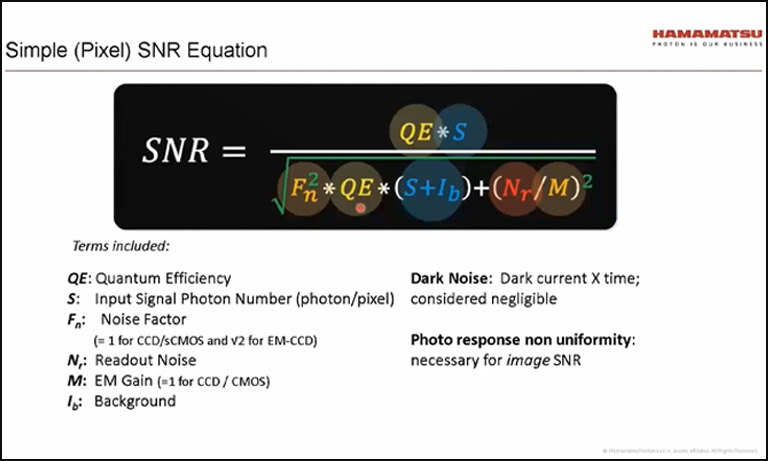 Untangling the mysteries of quantum tech using the ORCA-Quest qCMOS camera